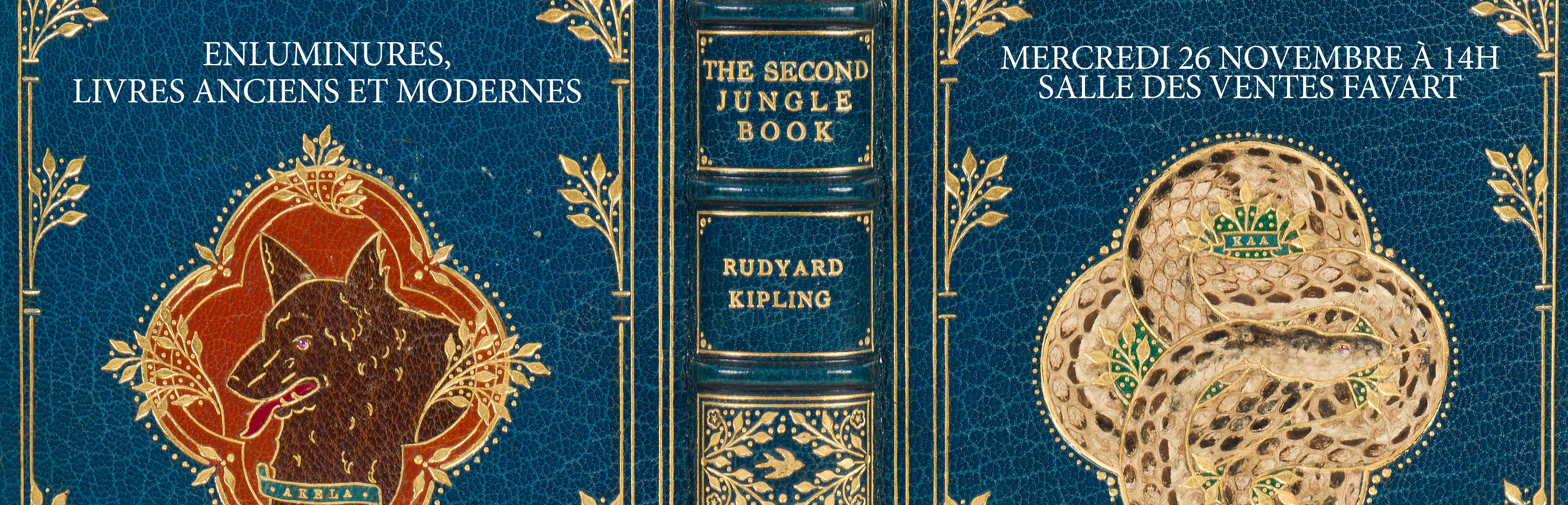 Enluminures, livres anciens et modernes